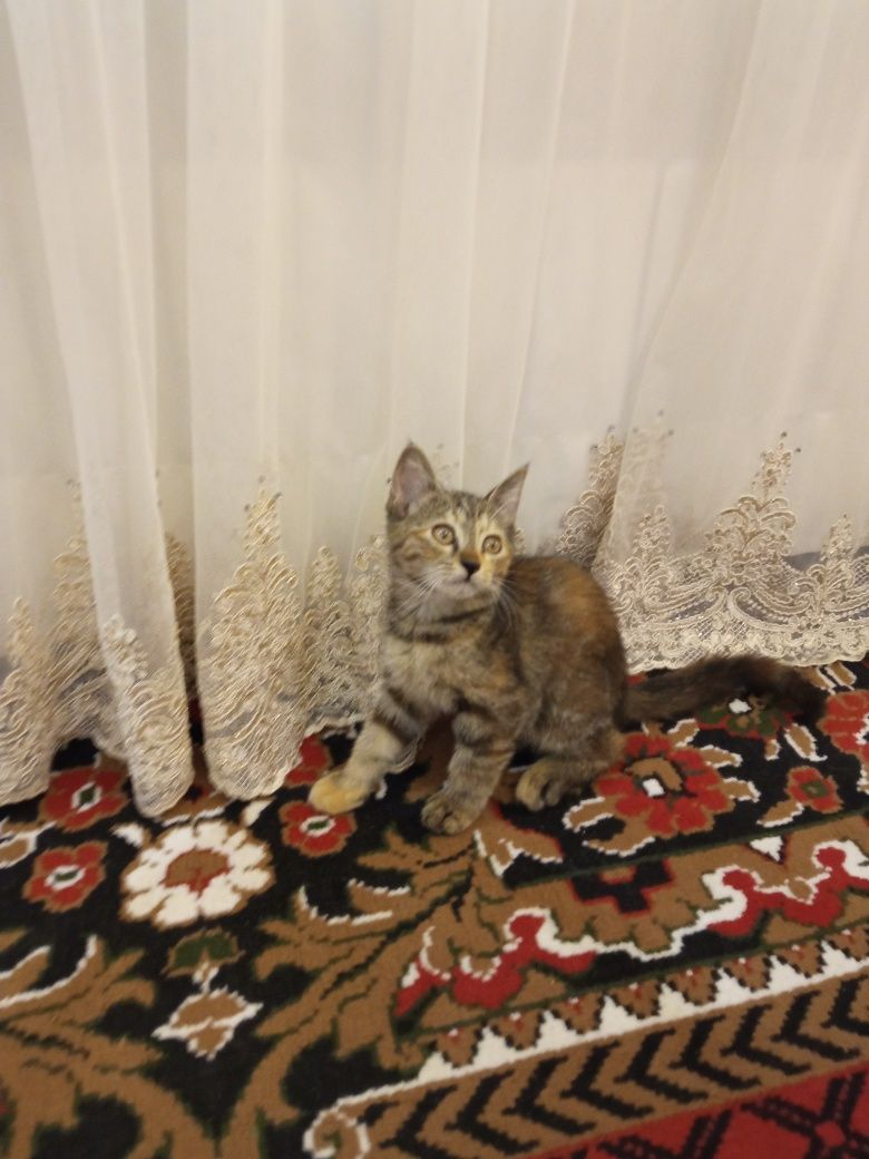 Бесплатно мать и ребёнок