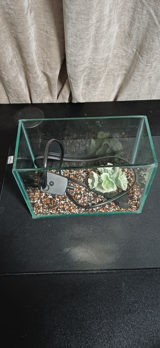 Acvariu pentru pești 3.28L