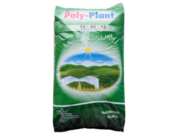 Ingrasamant Poly-Plant 12-43-12
