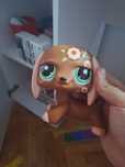 Lps jumbo caine dachshund
