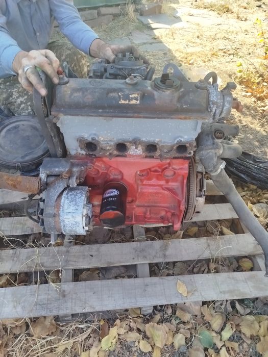 Продаётся Абу Матор