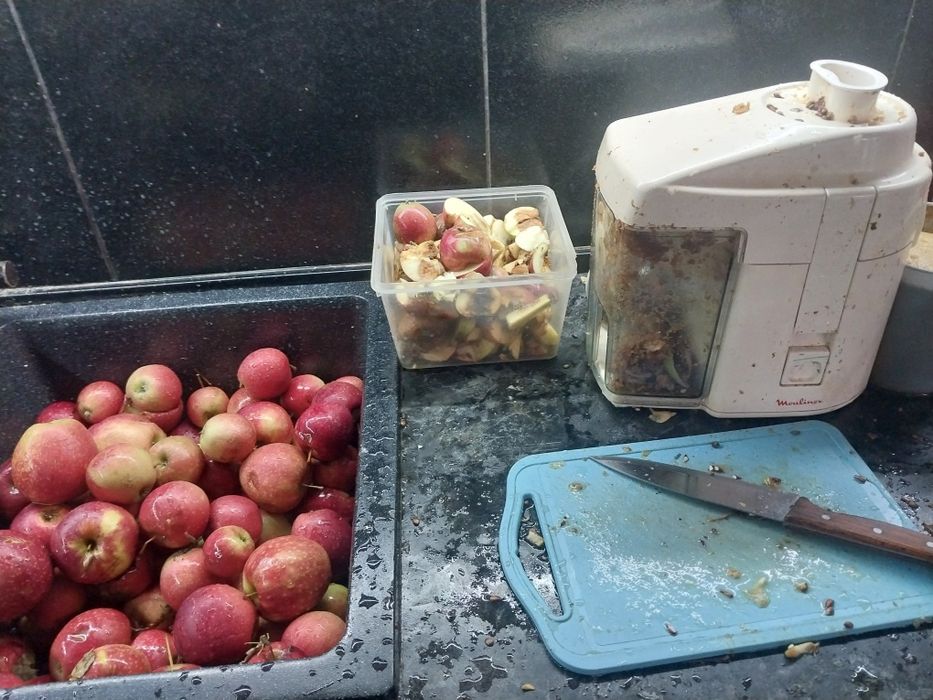 Домашний яблочный сок и яблоки