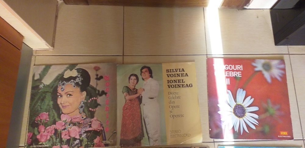 Discuri de vinil
