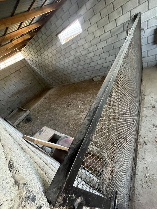 Курятник, +железная сетка как дверь