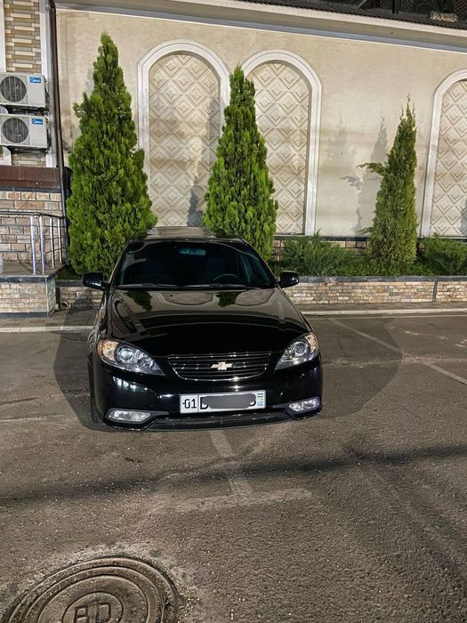 Qora jentra, Gentra 2020