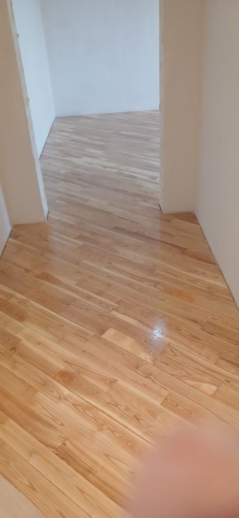 Shelifofka Pol parket tarket laminant