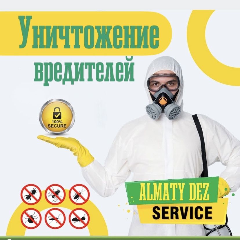 Уничтожение тараканов, клопов, крыс. Дезинфекция Дизифекция