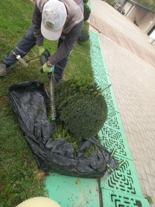 Archa va Shamshodlarga Shakl beramiz