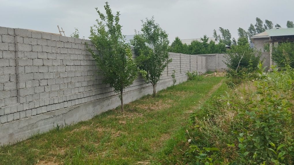 Yangibozorda yer sotiladi 3 sotix