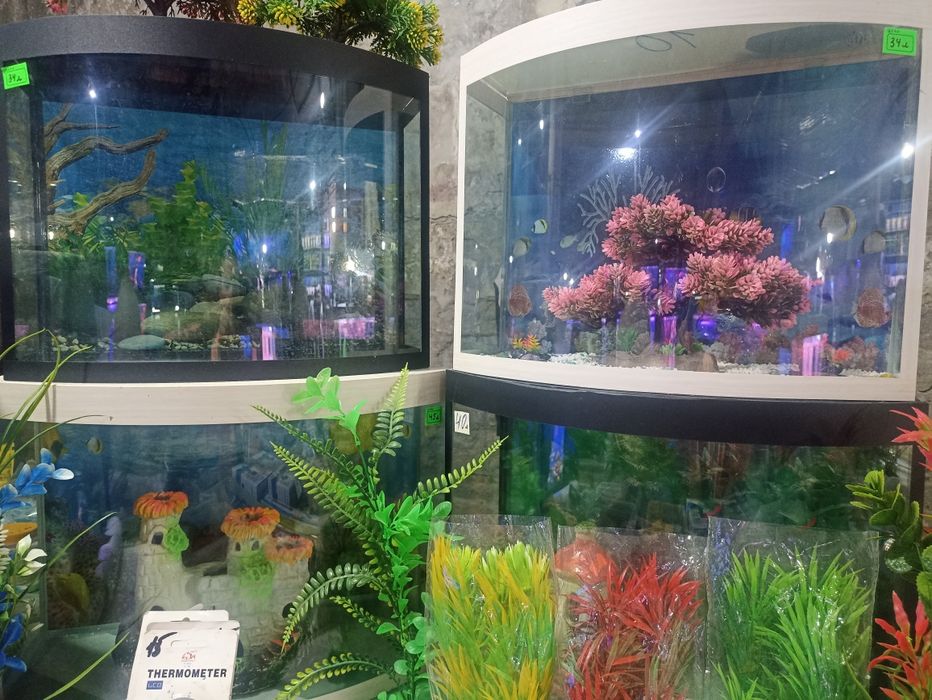 Аквариумы разных размеров