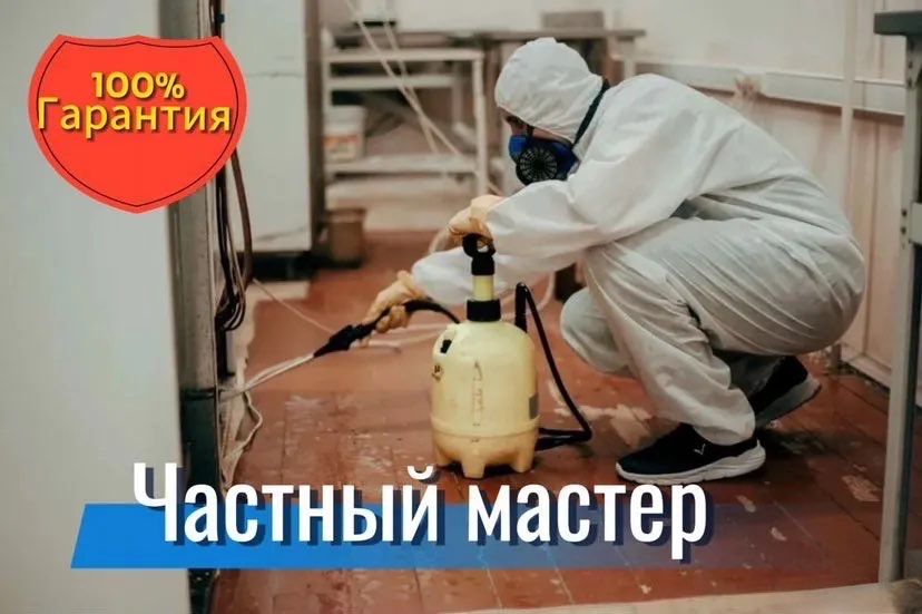 Дезинфекция БЕЗ ЗАПАХА дезинсекция