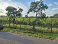 2700 mp teren intravilan valea călugărească