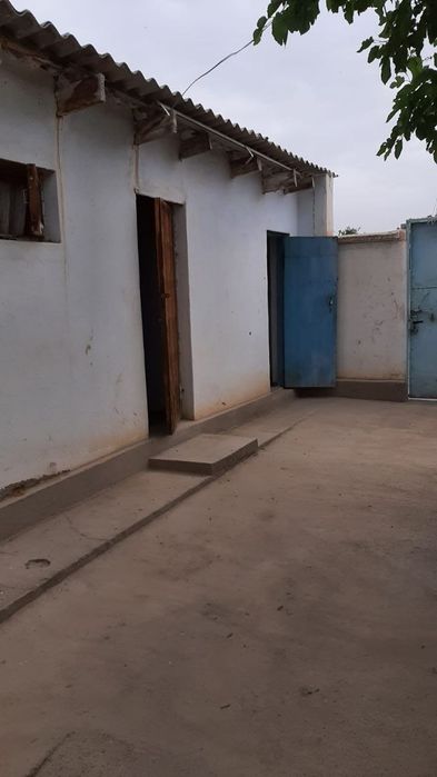 Уй сотилади.Сурхондаре вилояти.Жаркургон.