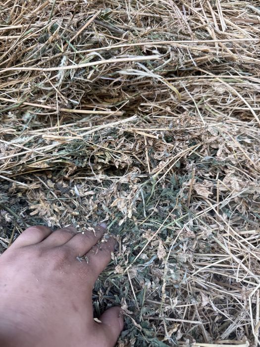 Vand baloti de lucerna