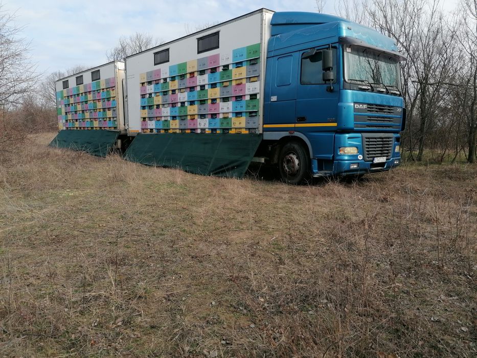 Vând stupina peste 200 de familii