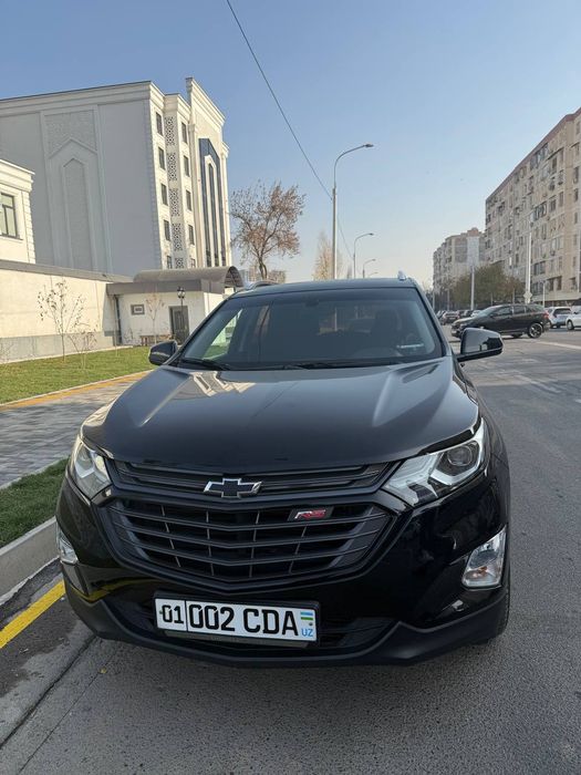 Экюнокс кора цвет