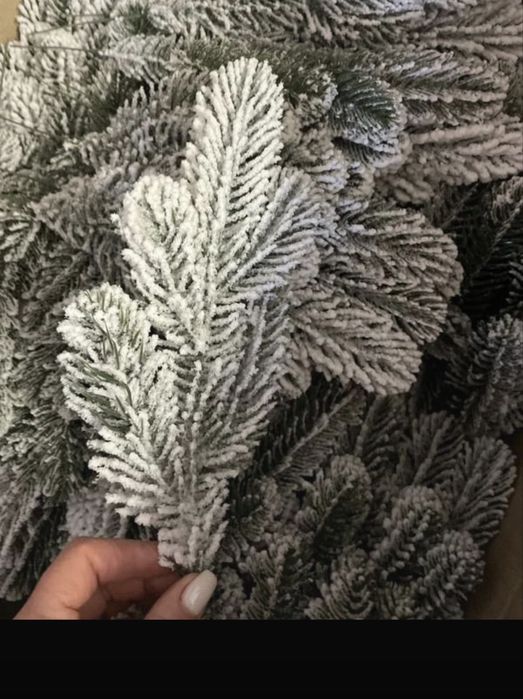 Crengute brad dublu ninse 2,5 lei bucata . 50 buc -125 lei