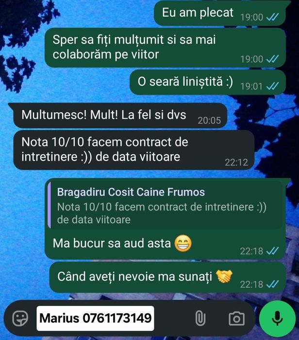 Servicii de tuns iarba,gazon,defrisari,curățat terenuri,copaci Bucures
