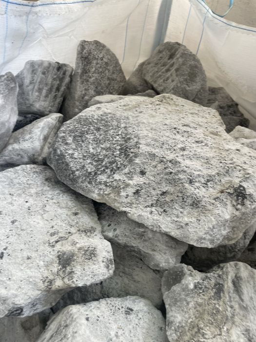 Sare bulgari grund bolovan  animale