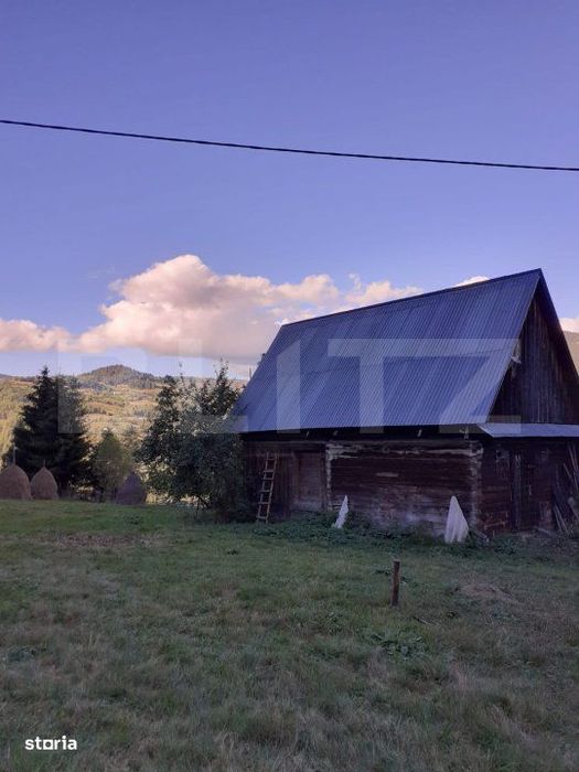 Casa la munte, cu teren 13383 mp, zona Horea - Apuseni