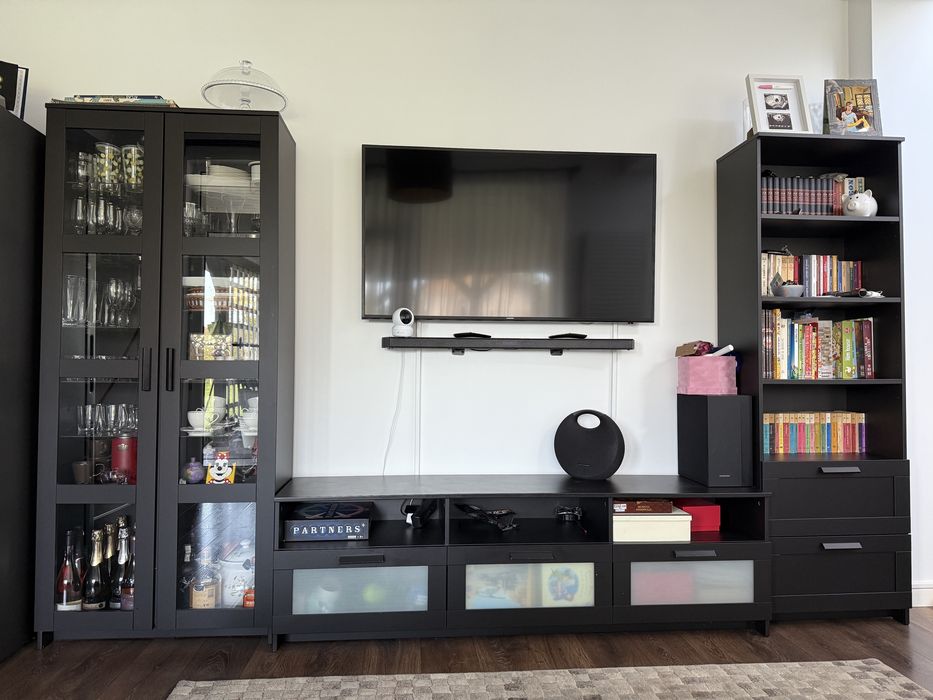 Vitrina, biblioteca si comoda TV