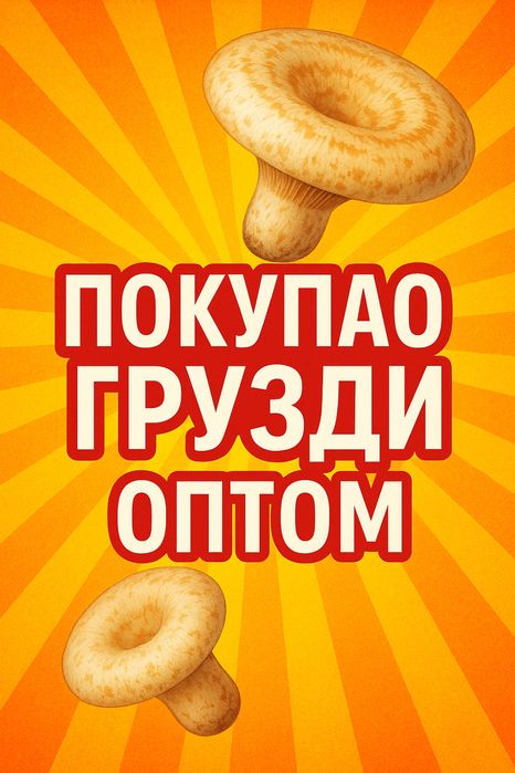 Купим.Грузди соленые оптом.