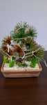 Bonsai handmade sarma aluminiu