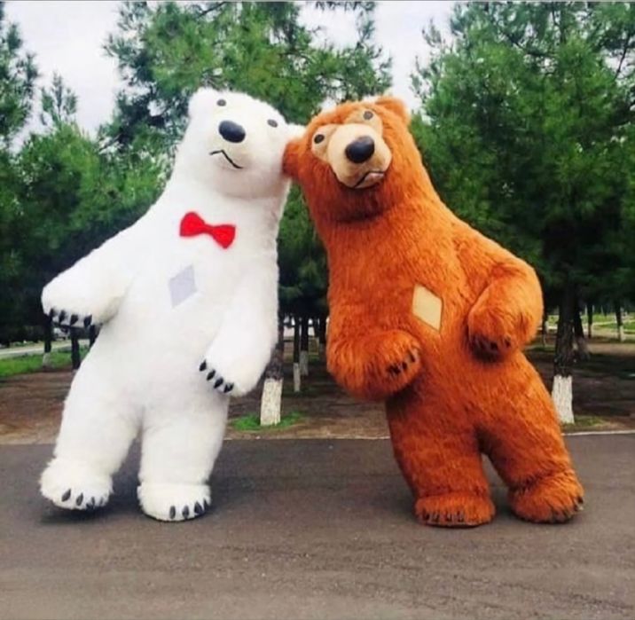 Айик айиклар 3.5м хизмати аниматор Ayiq ayiqlar 3.5m xizmati animator