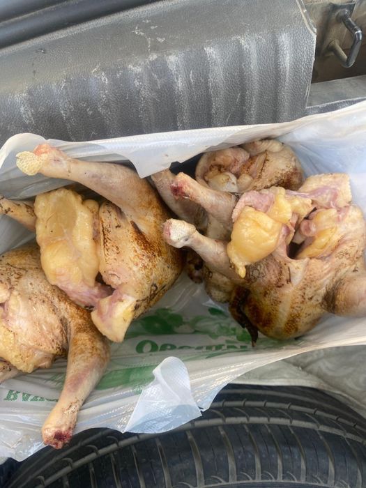 продам домашние курицы