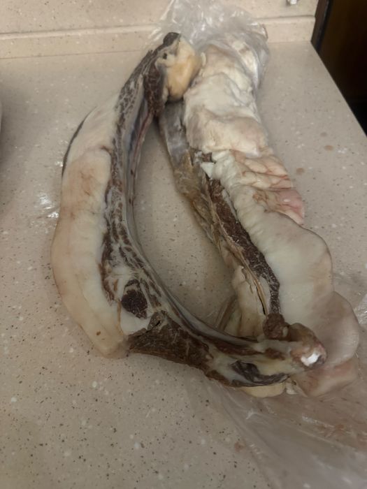 Продам қазы (казы) конина