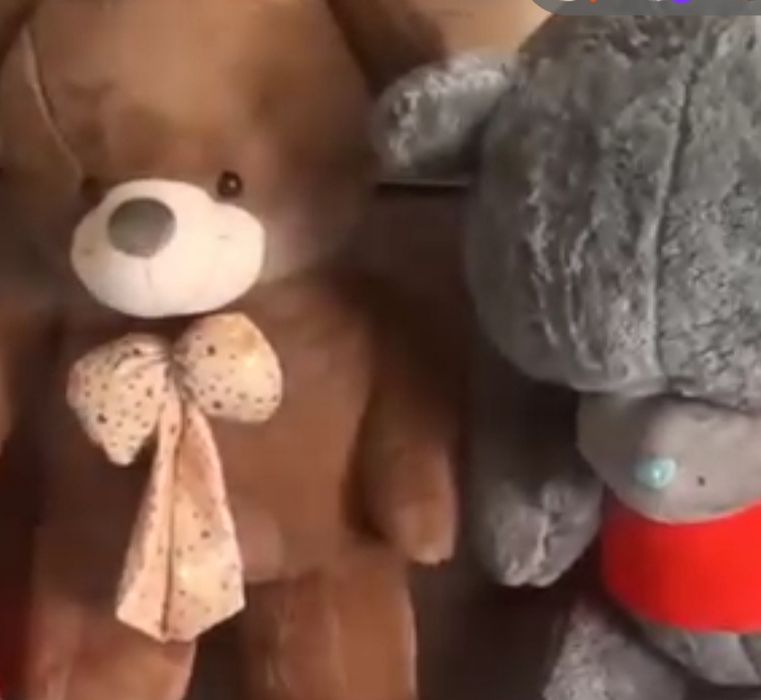 Katta ayiqlar sotiladi yap yangi salafani bilan turibdi