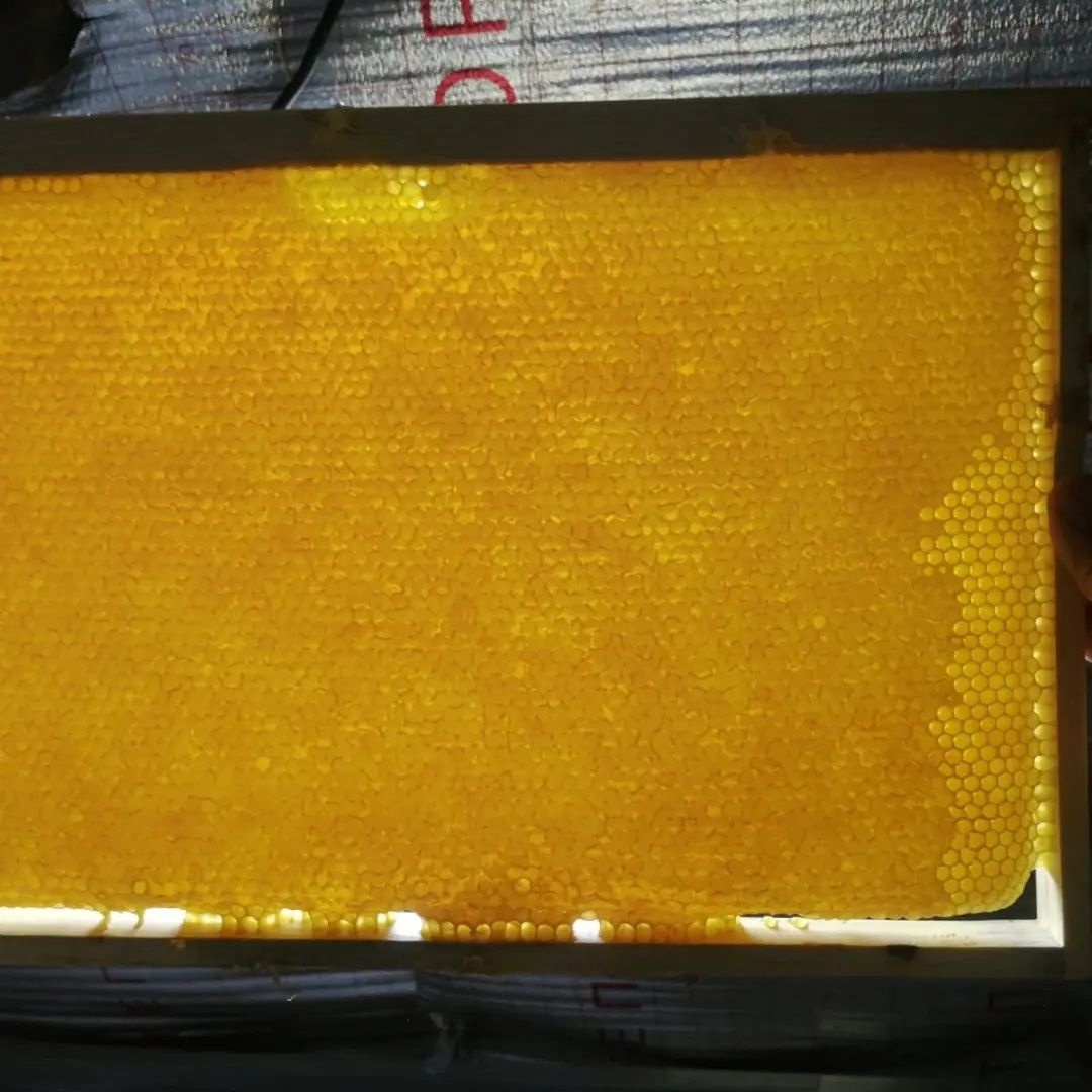 Продам в Караганде свежий мёд 2022г. В наличии, на складе.