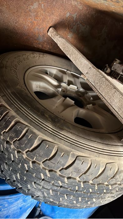 Крузак 100 дікі.