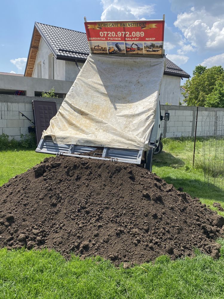 Nisip,piatra,mărgăritar,amestec,pământ negru vegetal