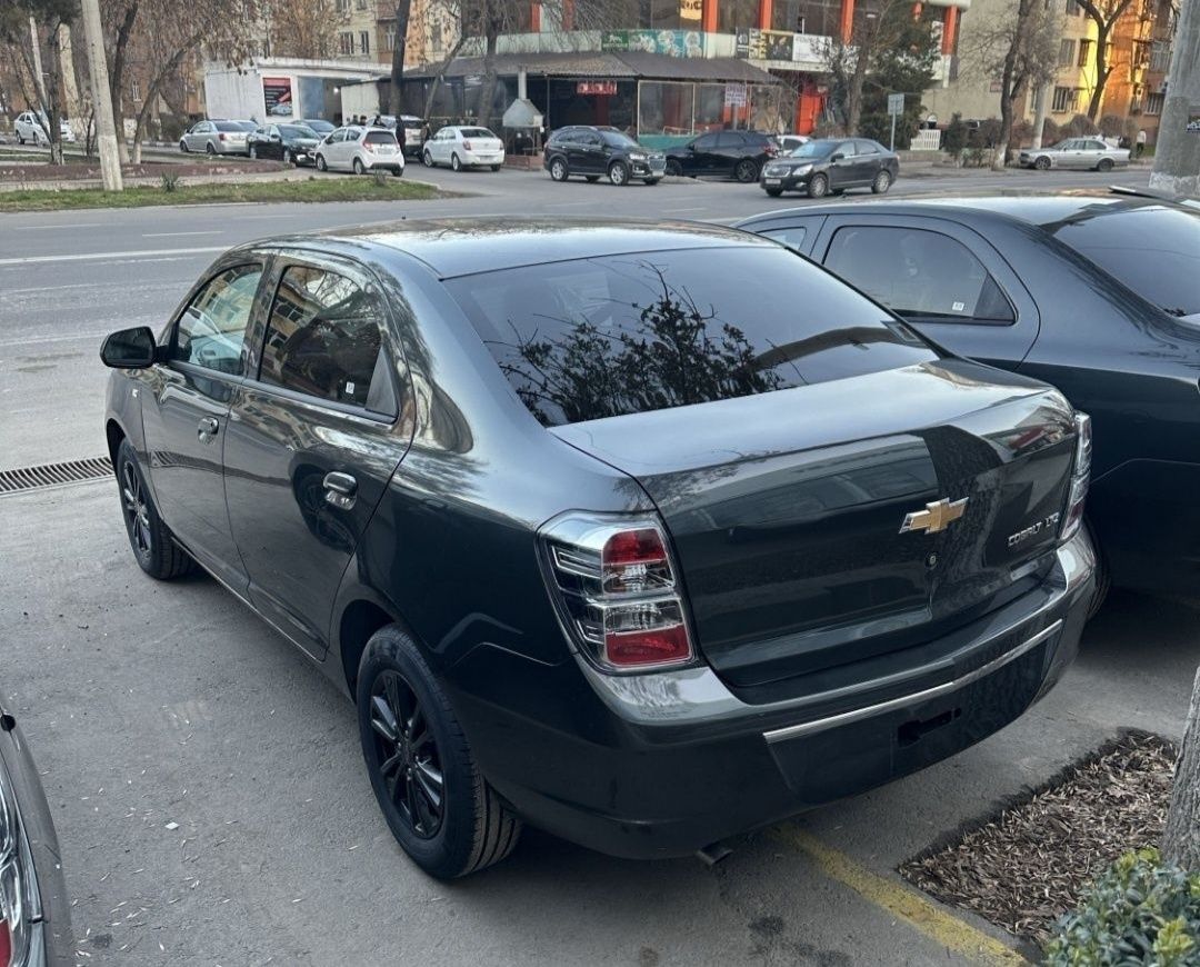 Obmen DISKA, ORQA STOP Cobalt staylga