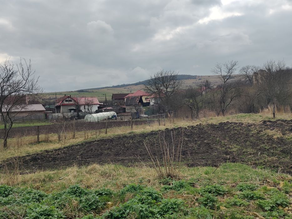 Vand case care au curte comuna