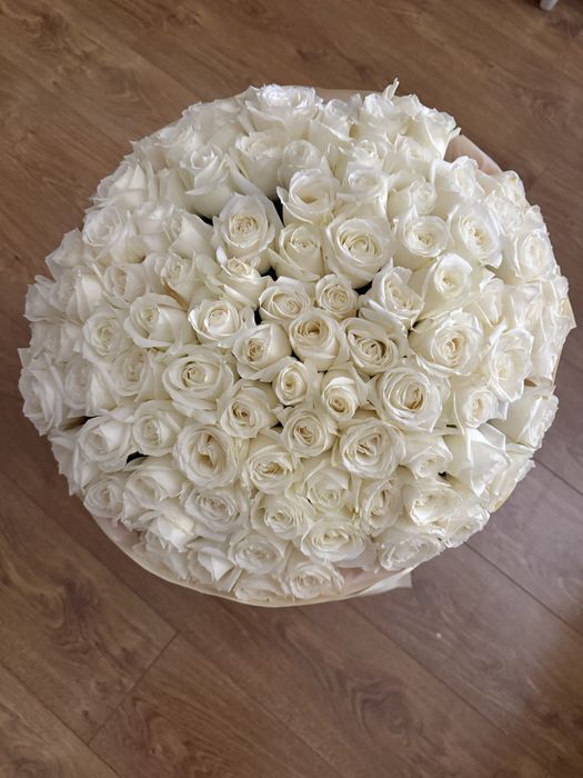 101 белая, свежая роза