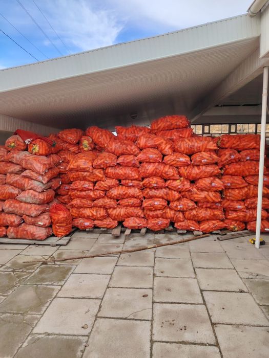 Жүгері Кукуруза сатылады