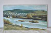 Pictura pod peste Raul Mureș