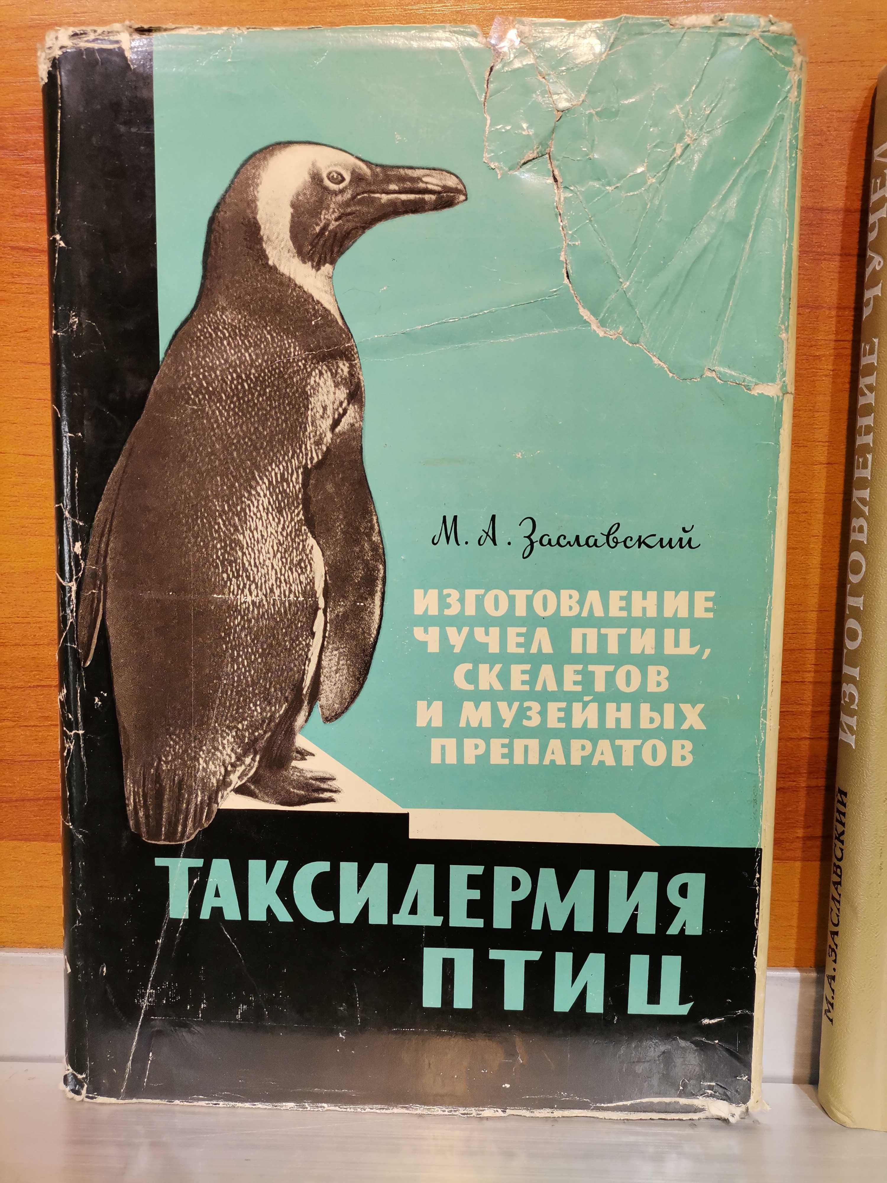 Таксидермия. Охотничий трофей. Заславский. Коллекция книг