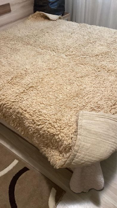 Китеници различни размери