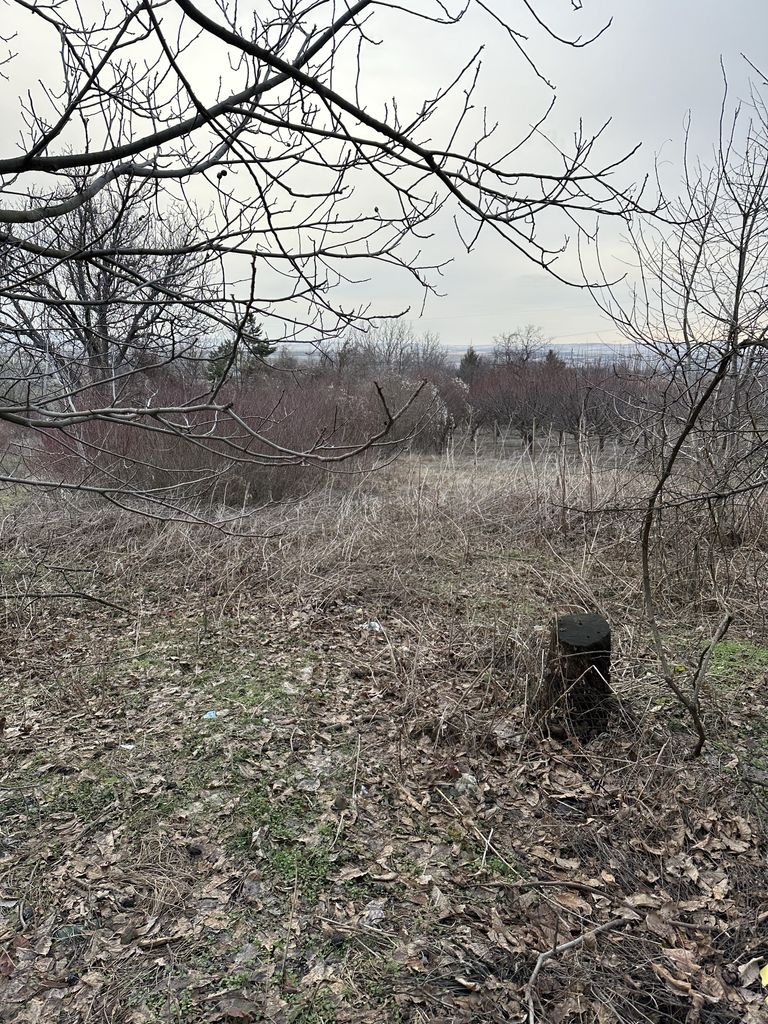 Продава се Парцел в Търговище, Боровец - 1050 кв.м за 8 €/кв.м - Снимка #1