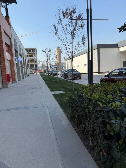 Первая Линия Срочная Продажа *Альфраганус*