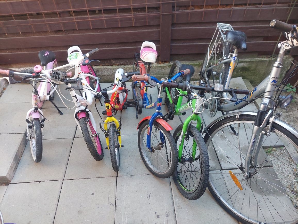 Biciclete copii și adulți germania