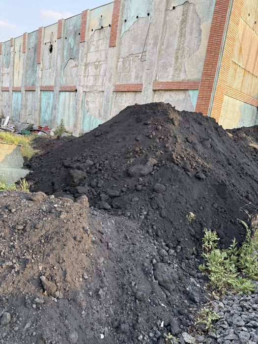 Cox petrolier nesortat 800 lei tona