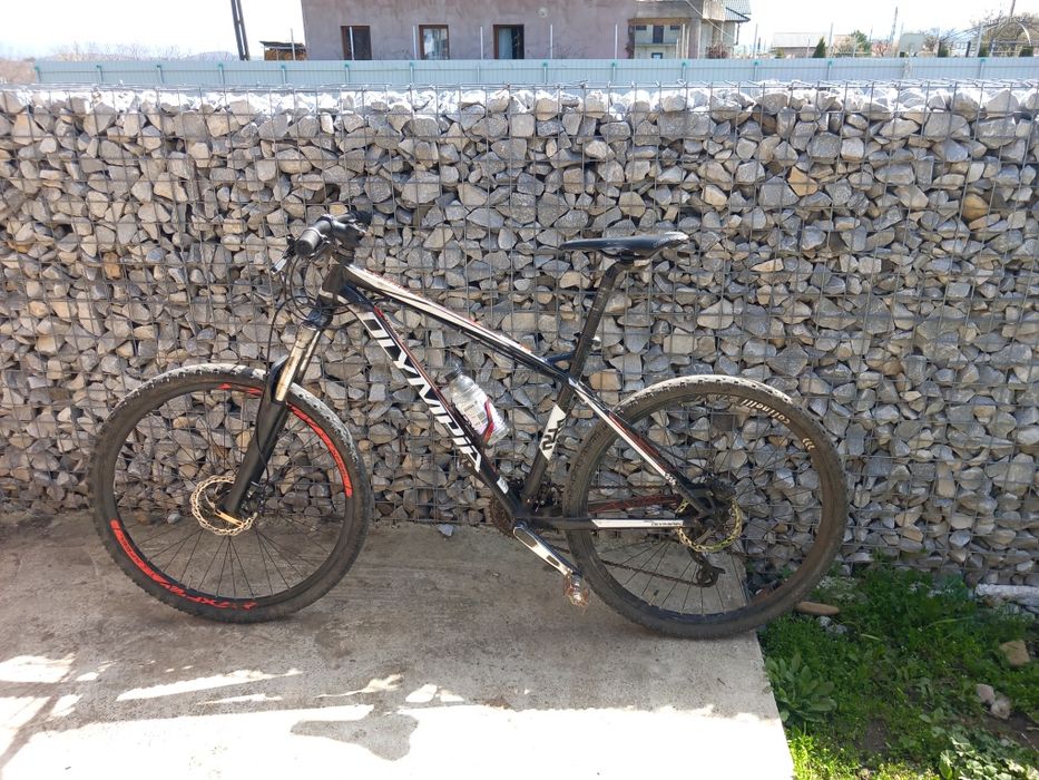 Cobra Olimpia (plata doar la ramburs)