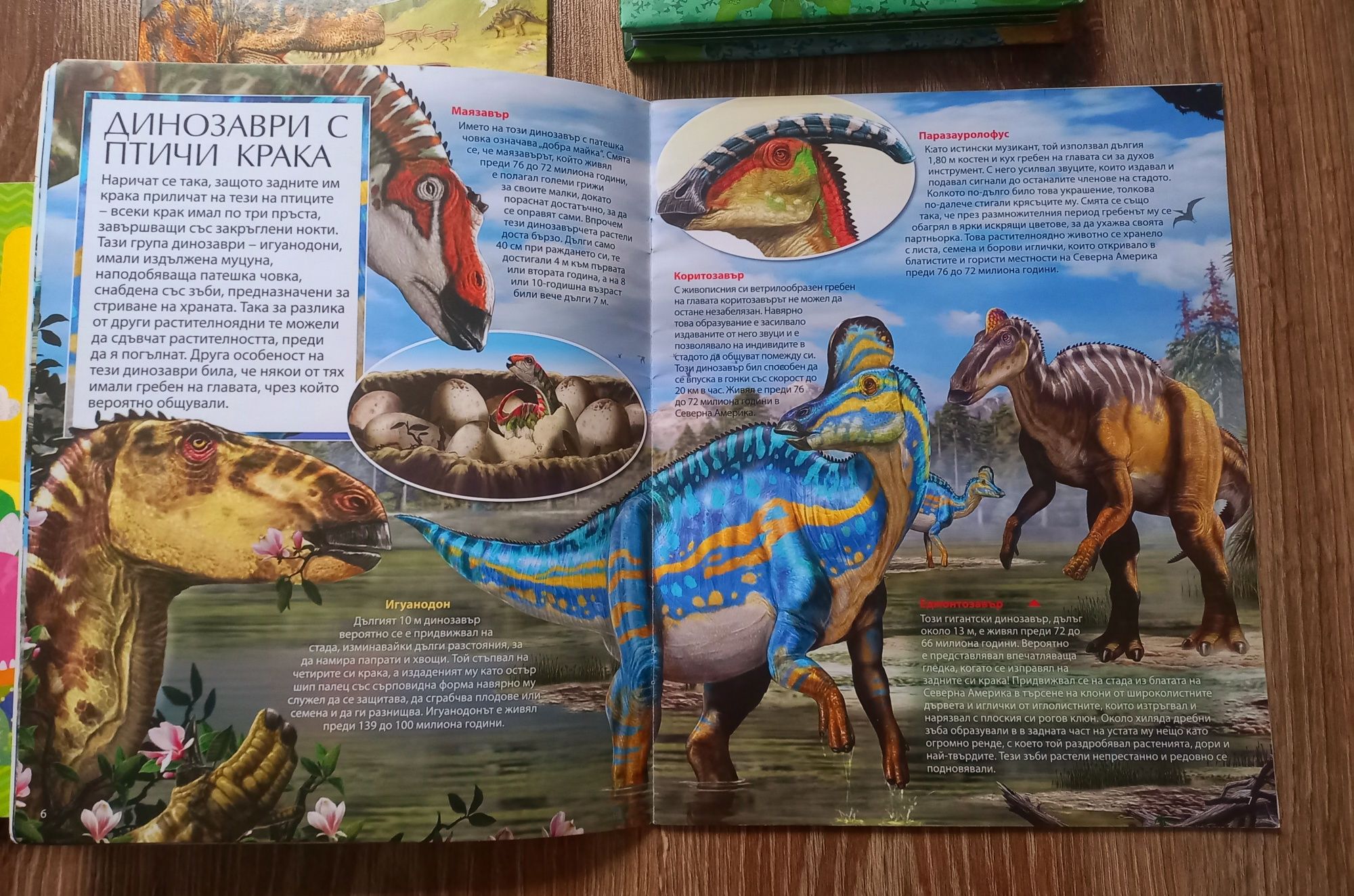 Комплект детски книги за динозаври