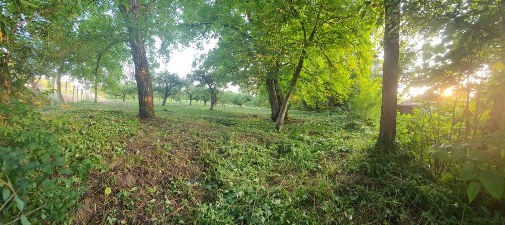 De vânzare: livadă intabulată – Buciumi, Maramureș