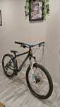 Corratec x-vert Motion