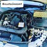 Diagnoza, egr, dpf, adblue, codari, adaptari, clonării ECU